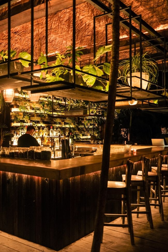 Tipsy Lemon |  Jungle Bar