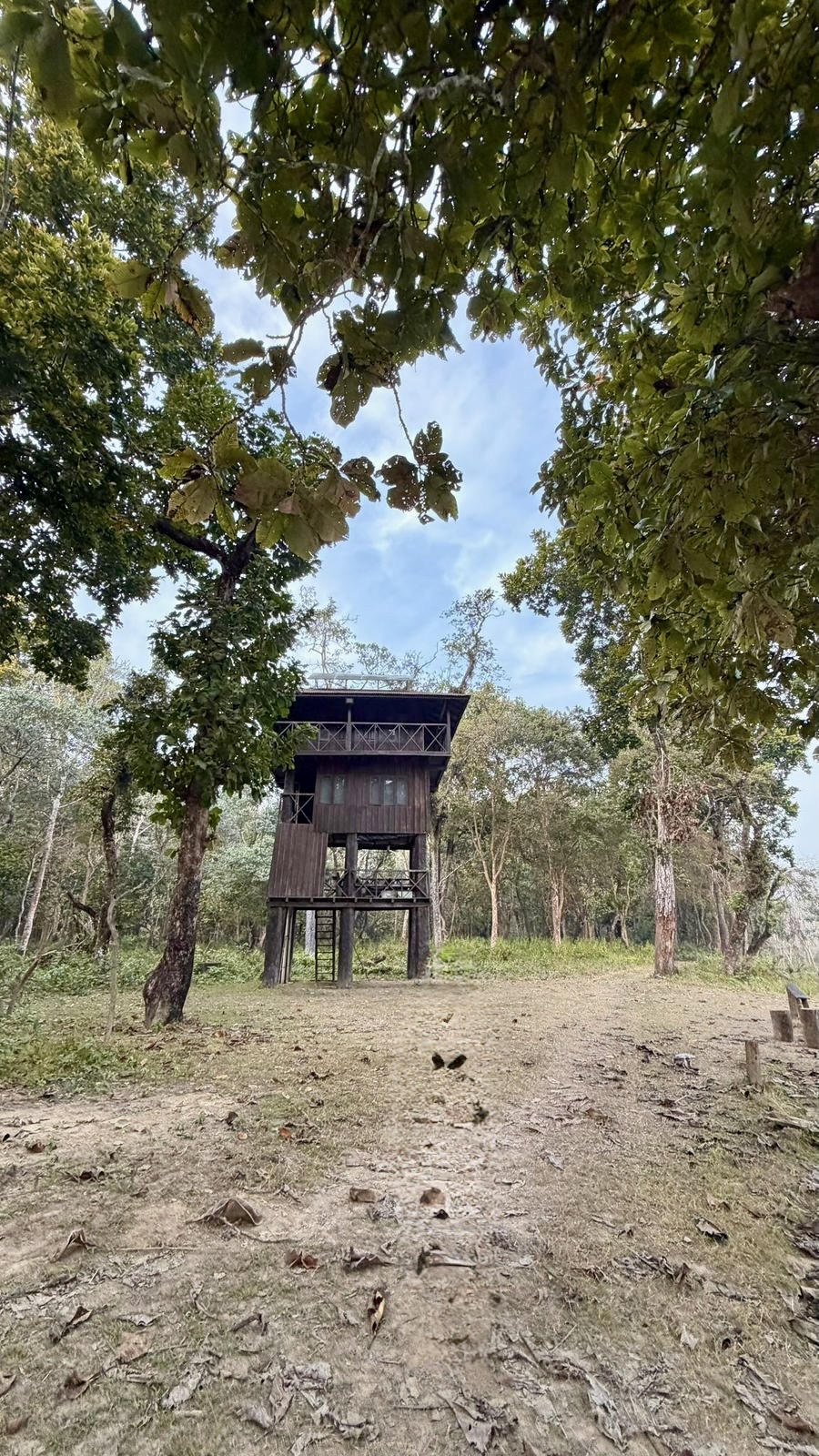 Three Days in the Jungle