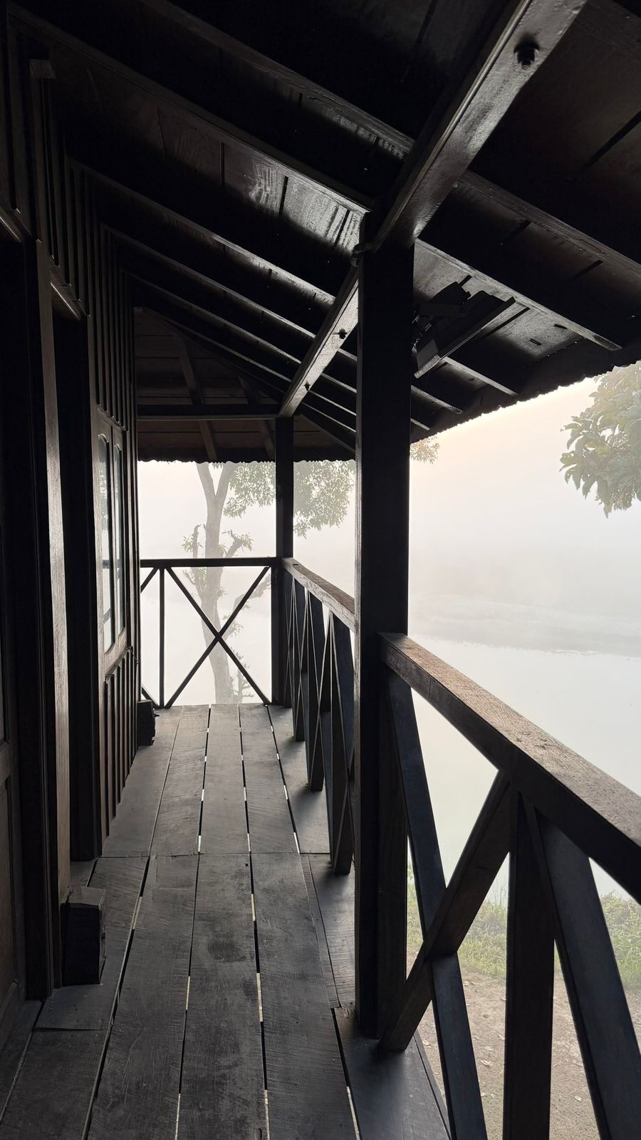Three Days in the Jungle