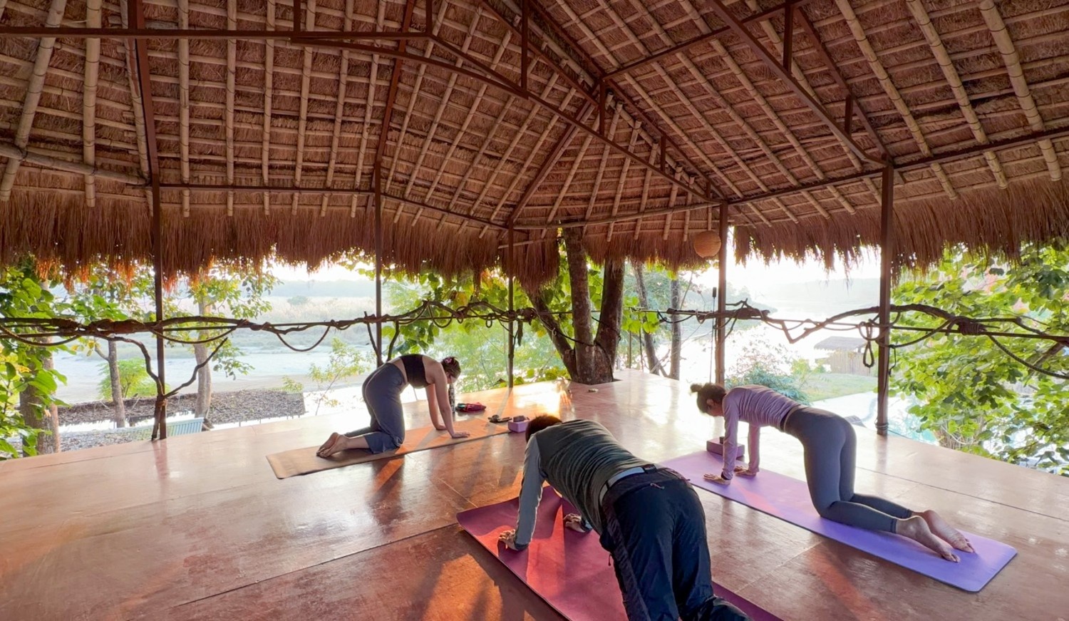 Wellness & Yoga