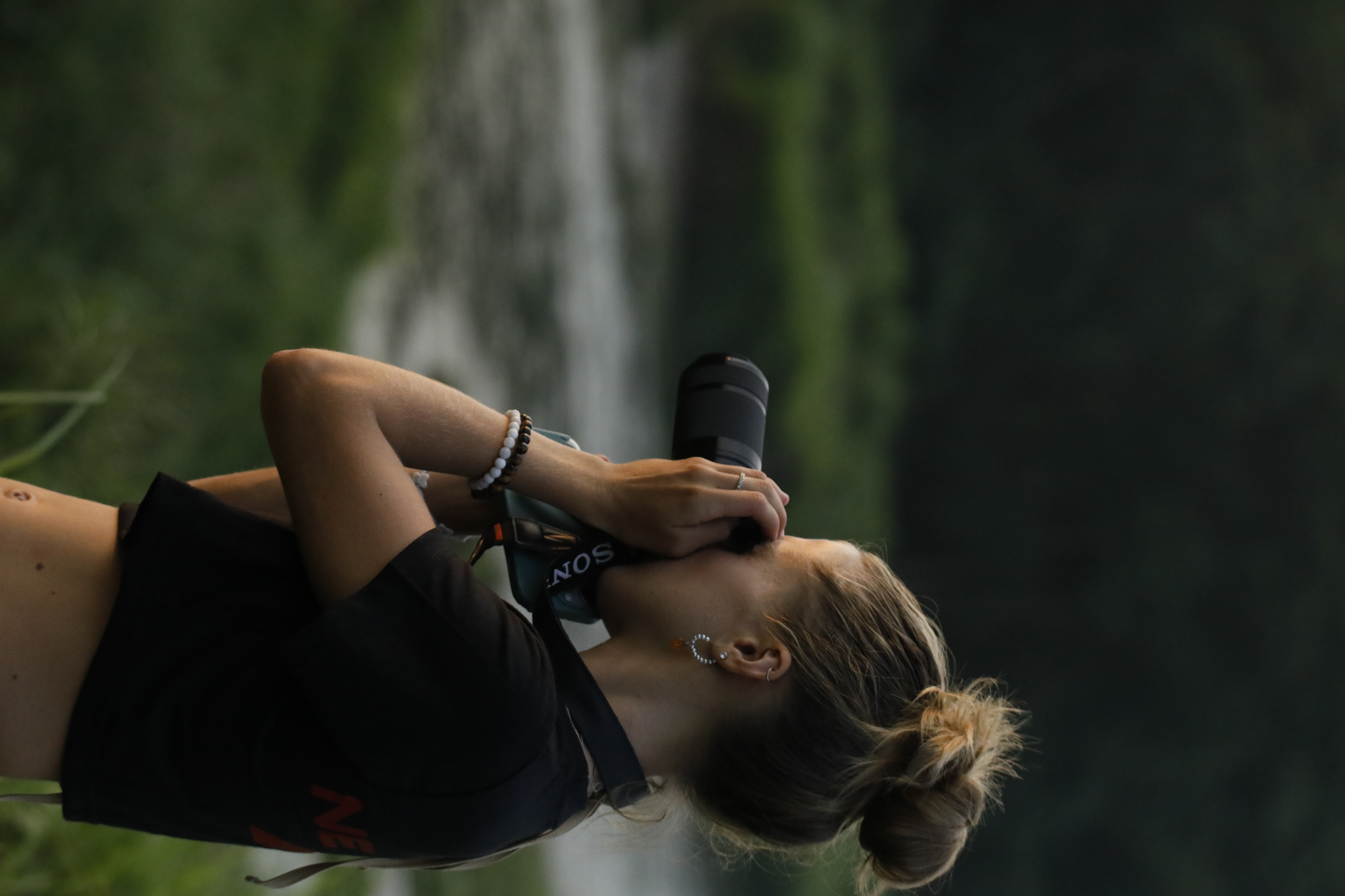 Sunrise Birdwatching