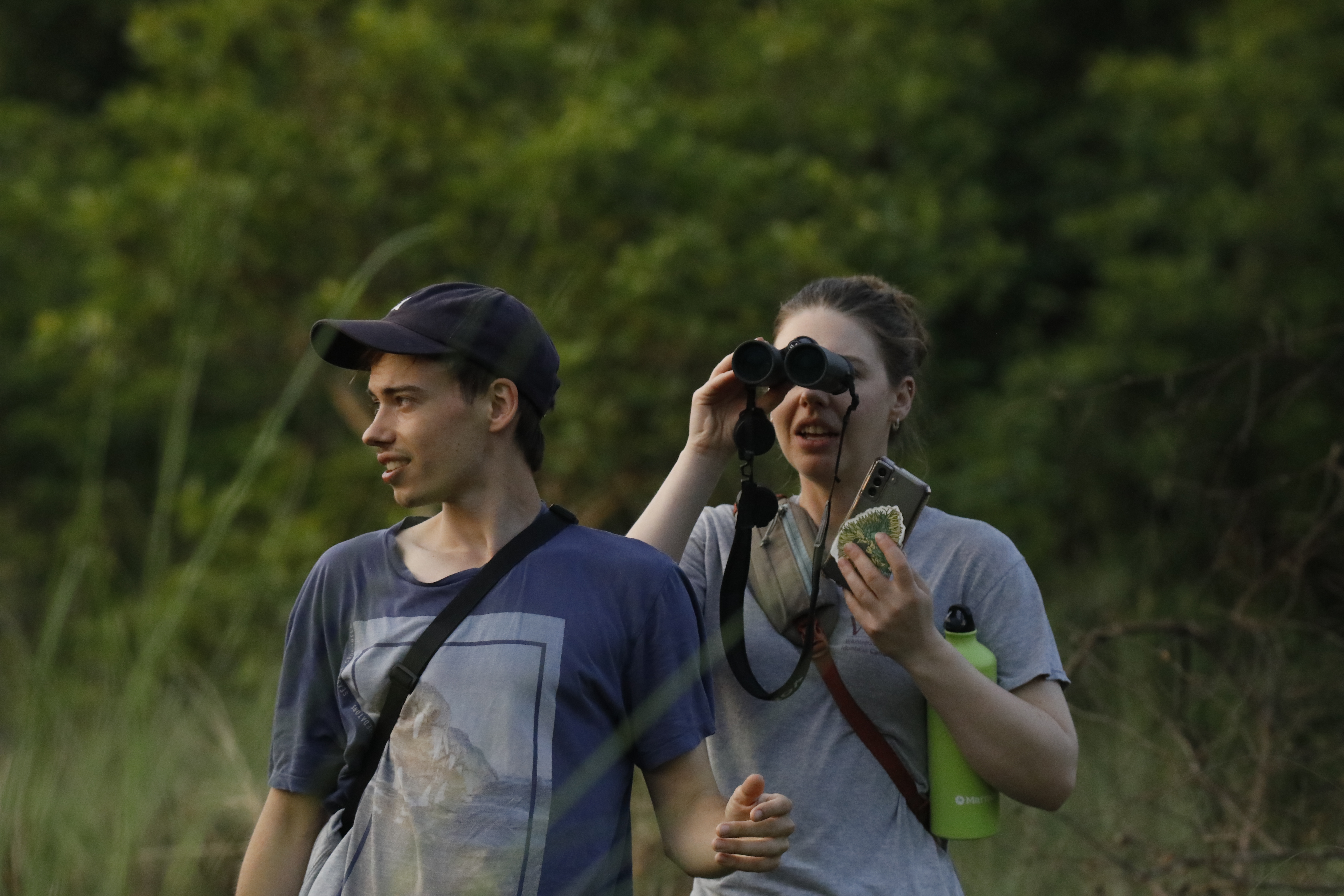 Sunrise Birdwatching
