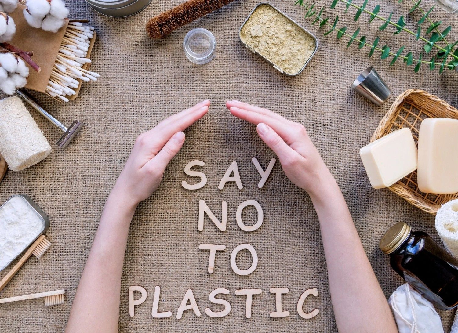 Single-Use Plastic Reduction