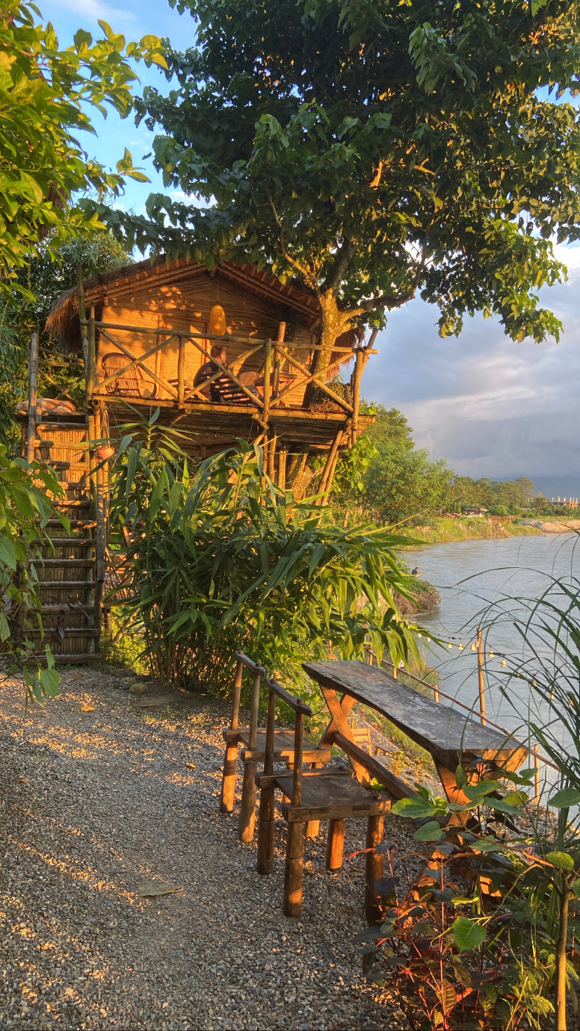 Bamboo Tree House