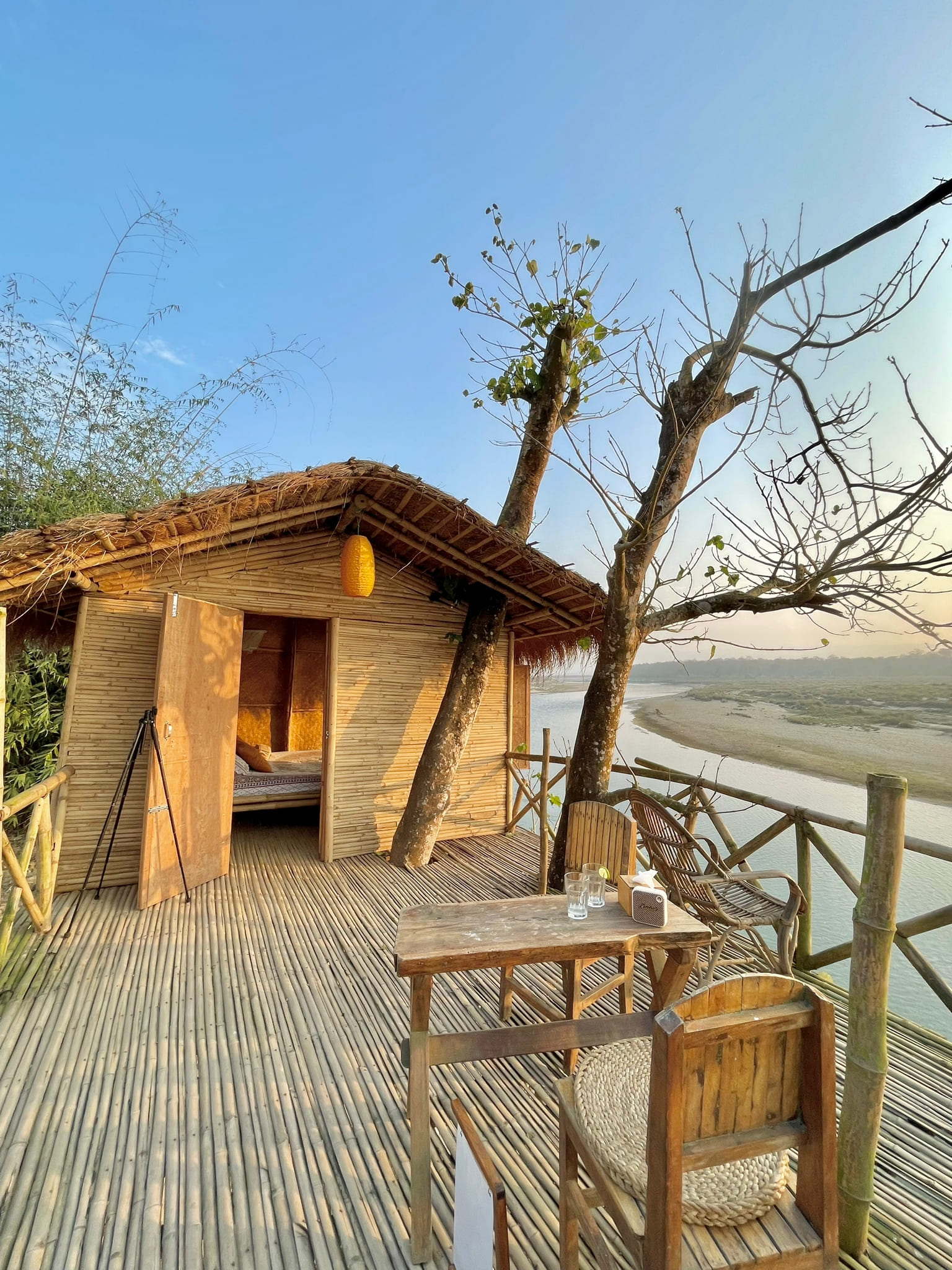 Bamboo Tree House