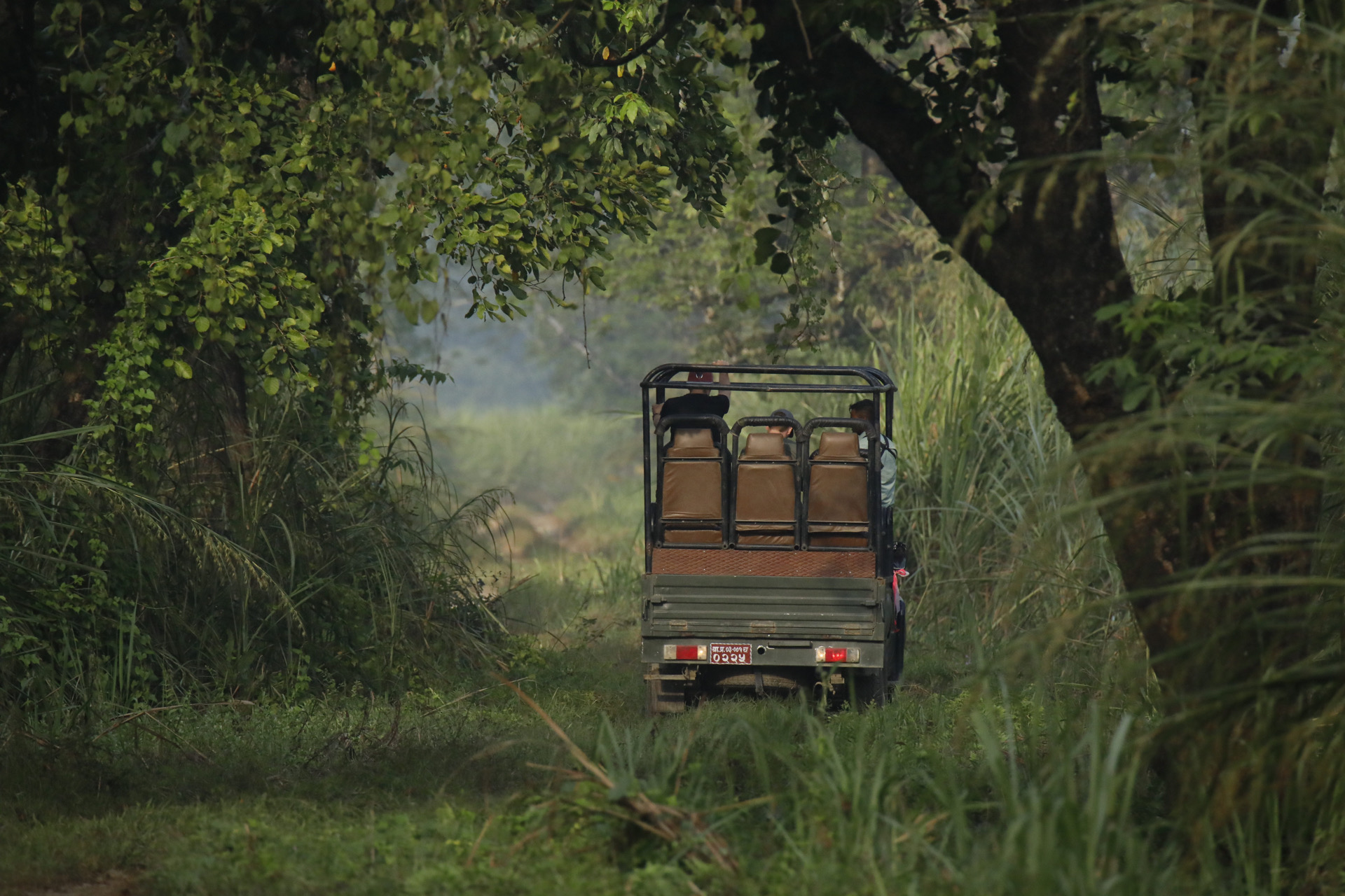 Jungle Safari In Chitwan National Park